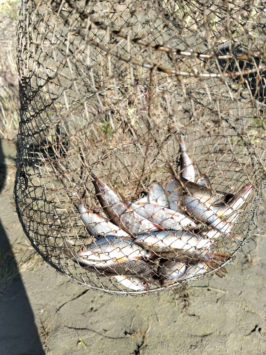    Рыбалка в Алтайском крае. Источник: "Рыбалка на Алтае. Клуб "Рыболовный край 22"