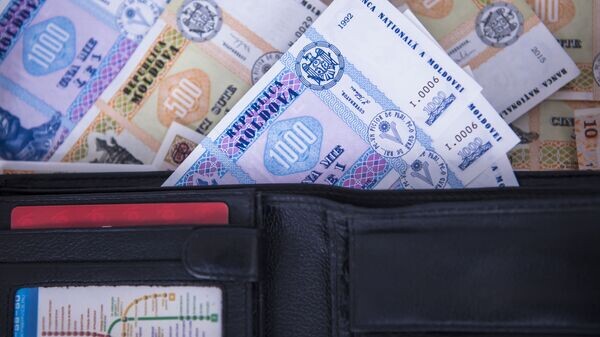    © Sputnik / Yana Zaharova