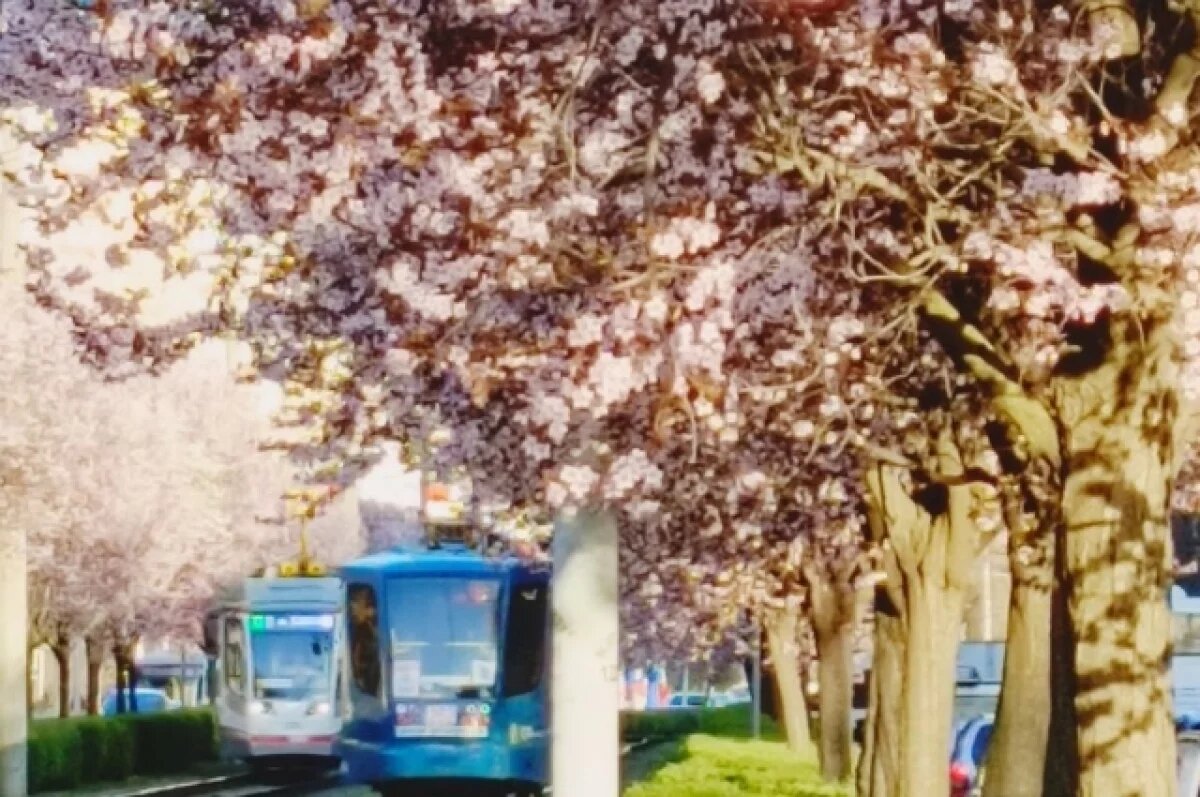    В Краснодарском крае потеплеет до +20 градусов, местами пройдут дожди