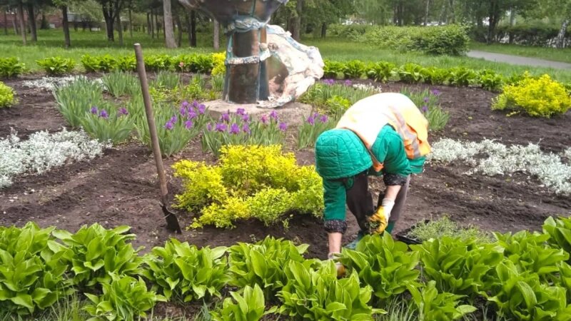    Начали засаживать цветники в Барнауле barnaul_org