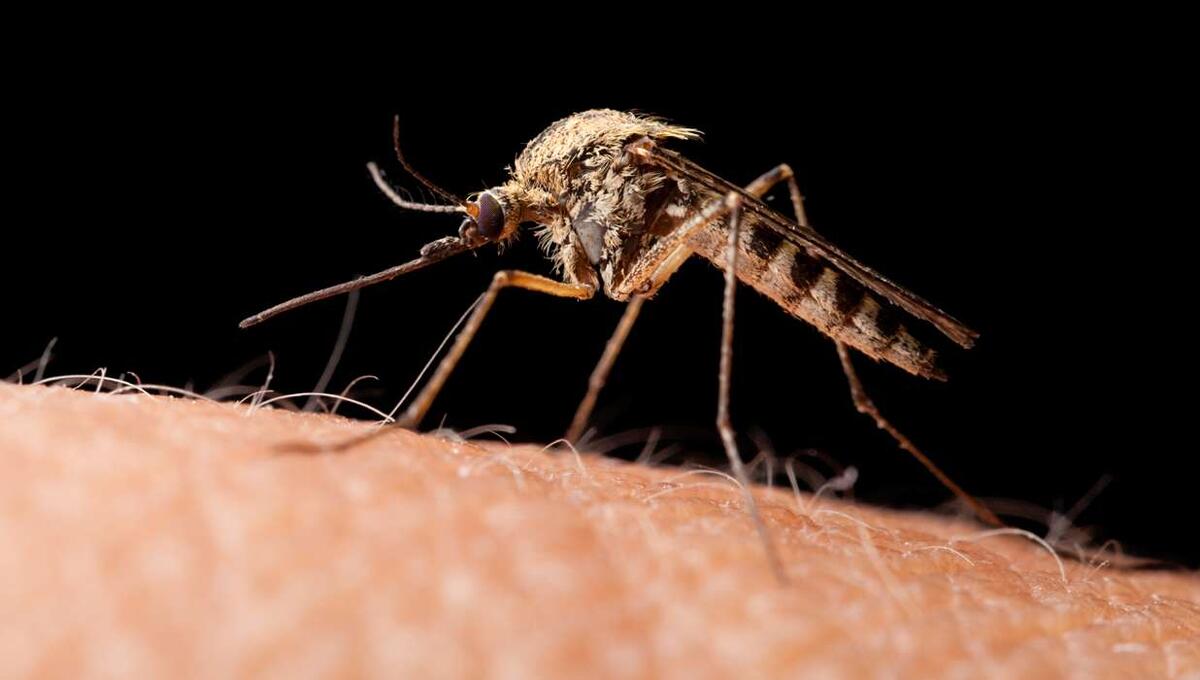 Фото: соцсети