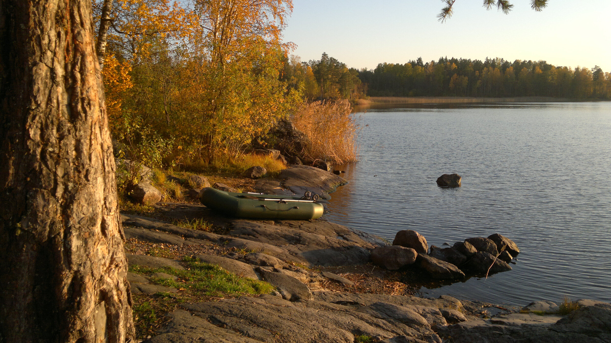 Моя лодка на берегу фото моё 2021 г