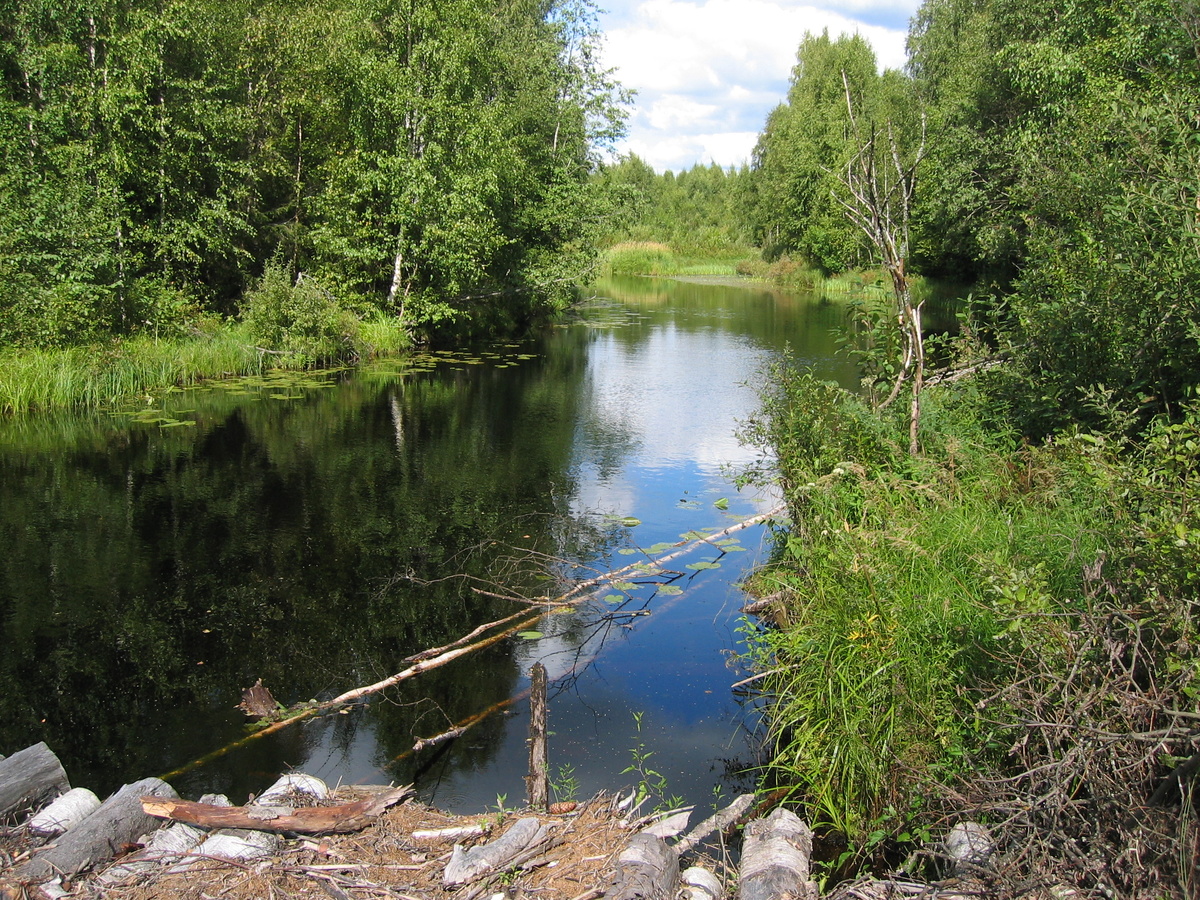 Вид в другую сторону