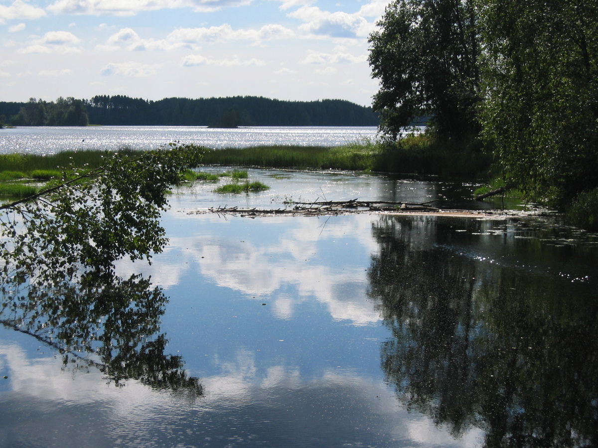 Вид с мостика на Новземское озеро
