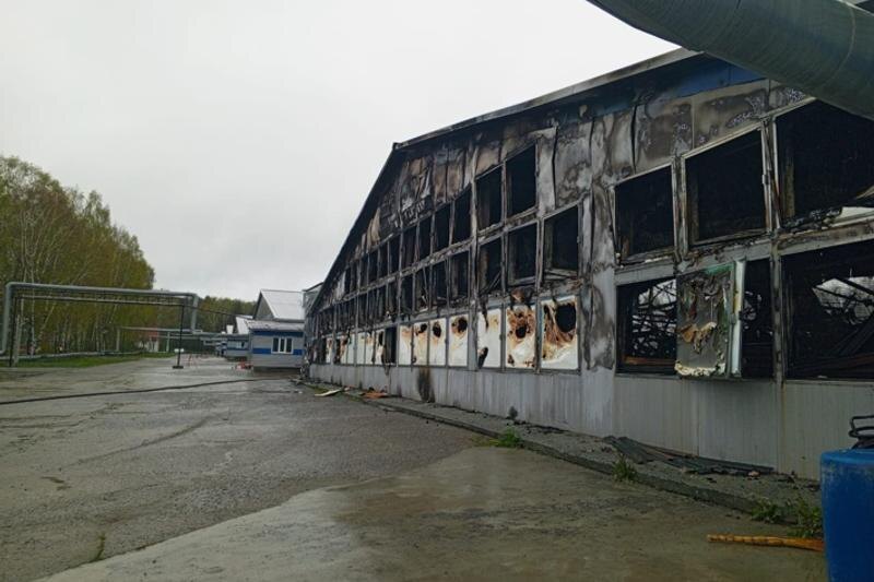    Теlеgram-канал «Типичный Асбест»