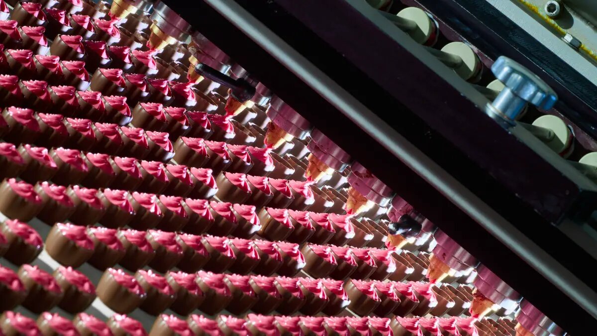    Фото: vm.ru Евгений Иванов