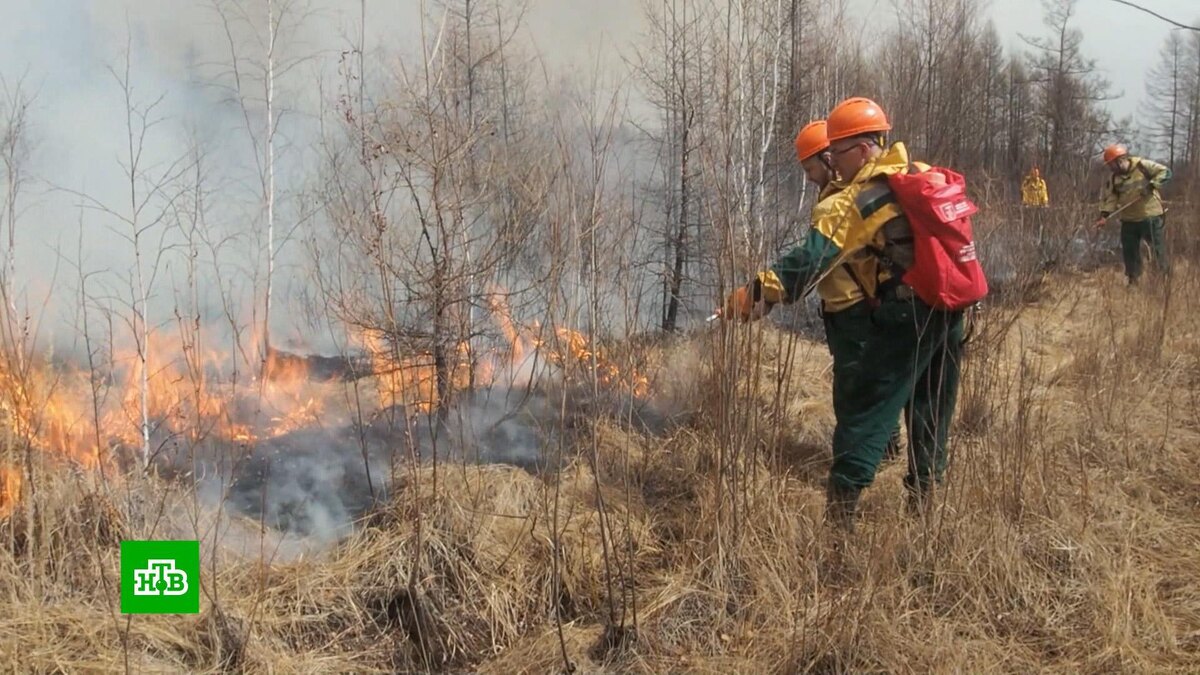    Огонь у трассы и угроза селам: на Дальнем Востоке бушуют лесные пожары