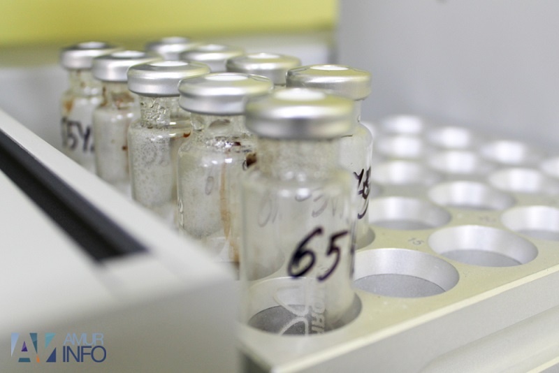    Фото: Амур.инфо