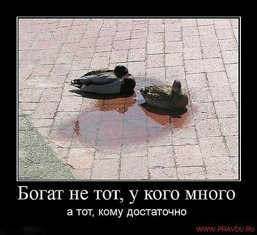 Житейская актуальная "мудрость", которыми буквально забита Сеть.