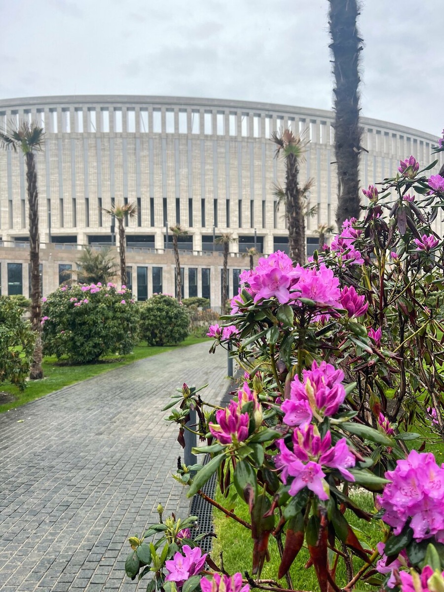 Парк "Краснодар". Фото: Яндекс карты. Автор: Мари Мари