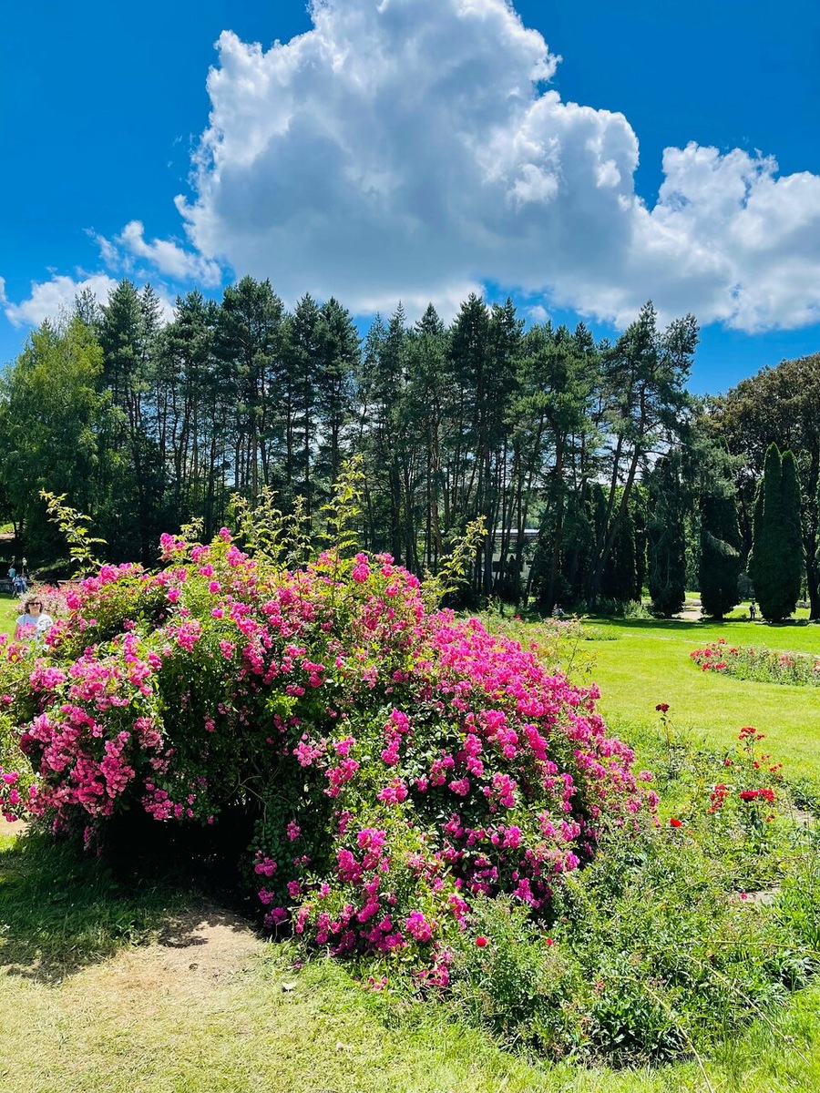 Фото: Яндекс карты. Автор: Елена Карпина