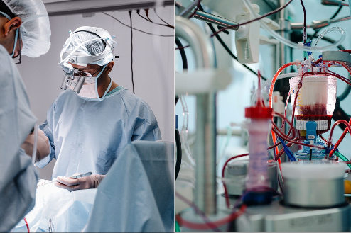    Фото: НМИЦ им. ак. Е.Н.Мешалкина