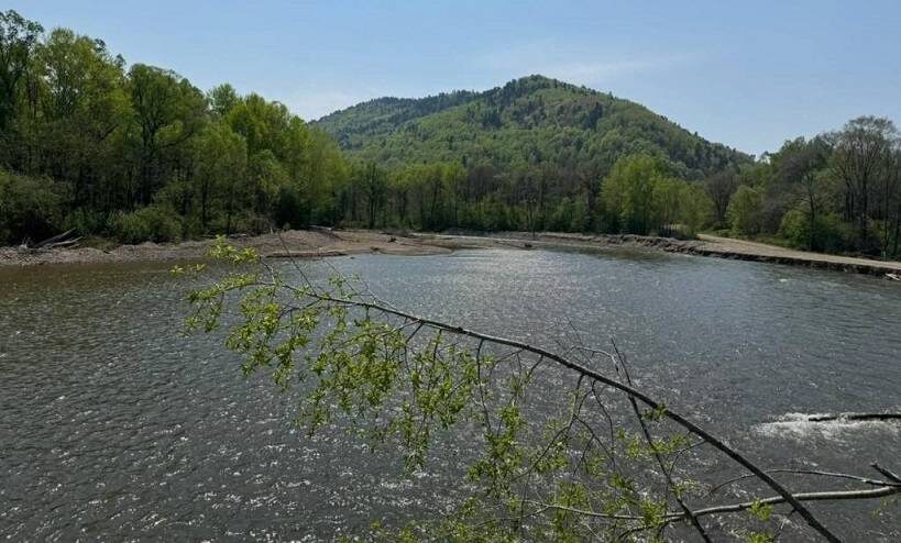    Источник фото: t.me/mintrans_pk