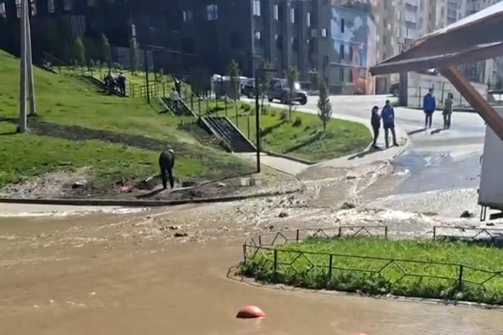    Кадр из видео VN.ru