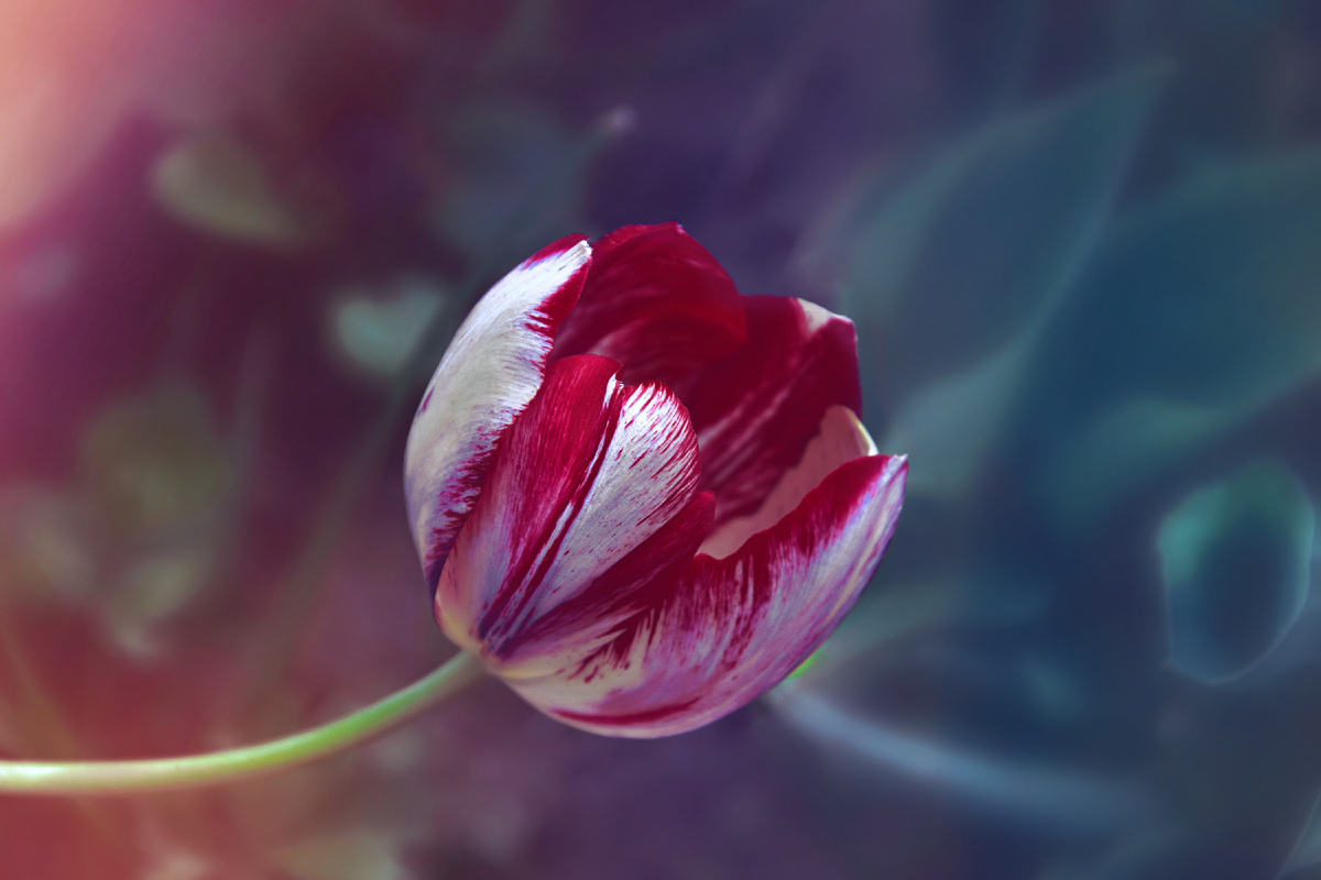 Копирование фотографий запрещено. Контент является интеллектуальной собственностью. Защищён авторским правом.