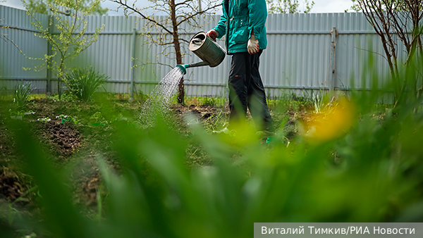     Фото: Виталий Тимкив/РИА Новости   
 Текст: Ирма Каплан