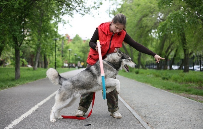    Благотворительный концерт «Дай лапу, друг». Фото Дмитрий Пушкарёв admin