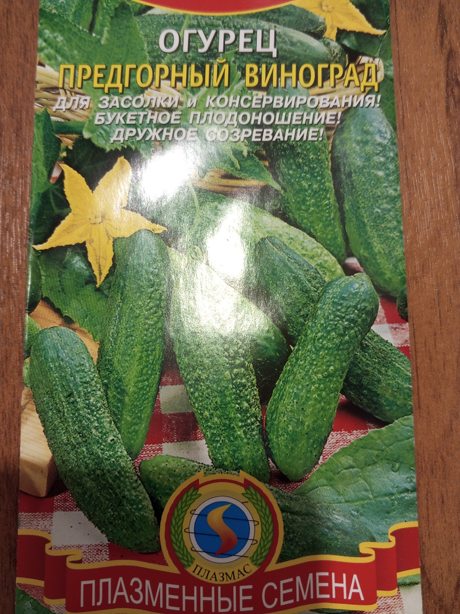 Одно из важных условий, правильный выбор семян