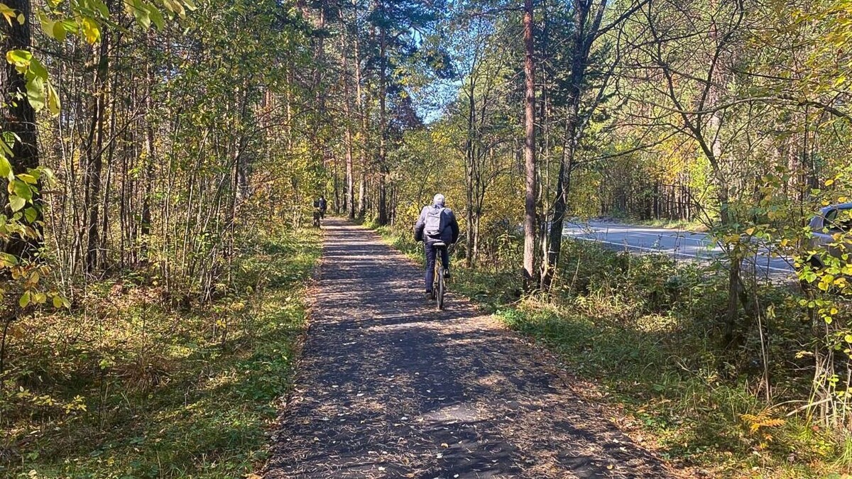     Источник: 1MI