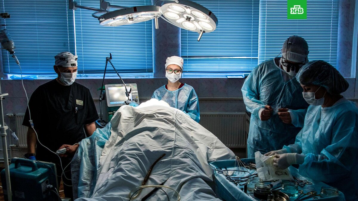    Фото: РИА Новости © 2025, Дмитрий Макеев