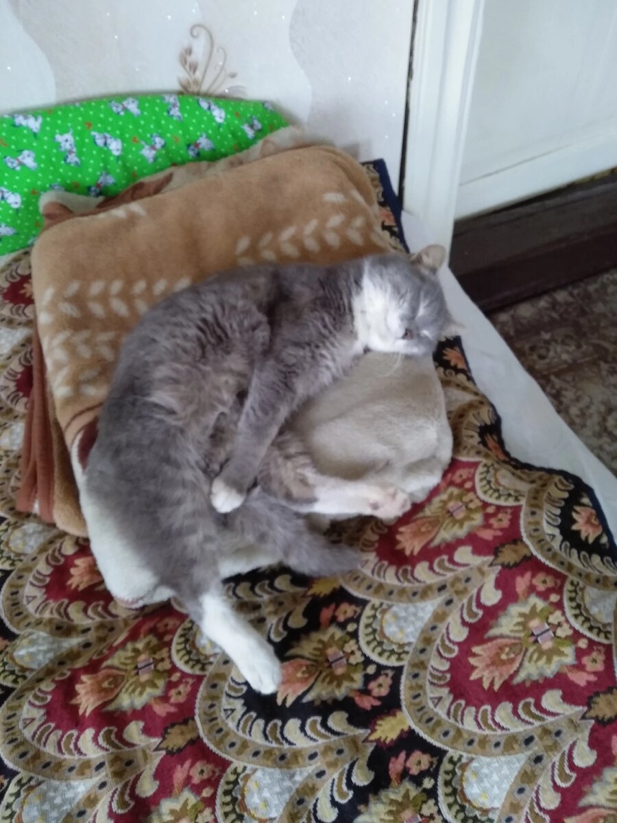 Фото сына, ну ведь и не усомнишься,что ему там плохо 