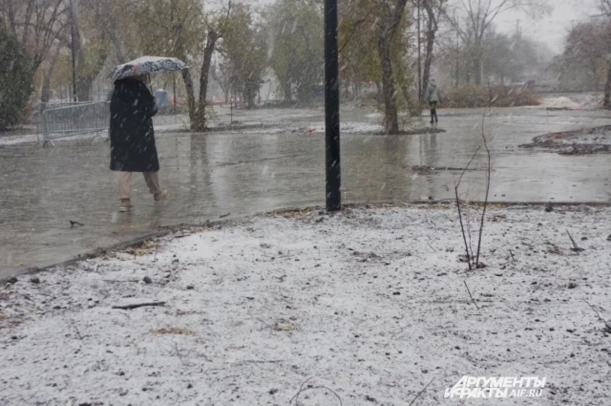    МЧС: циклон с мокрым снегом придёт в Хабаровский край