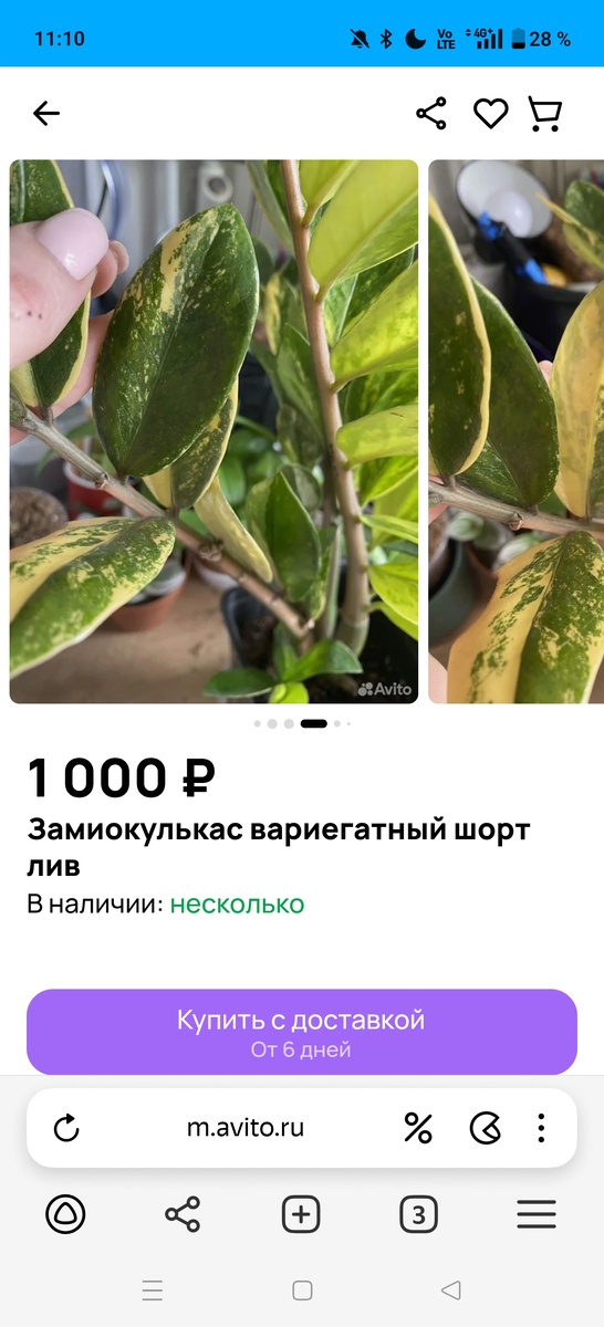 Цена за один неукорененный сегмент 