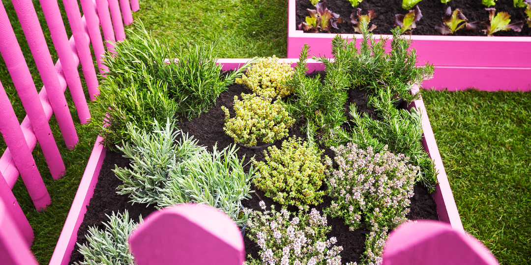 25 интересных идей для небольшой дачи: 50+ ФОТО