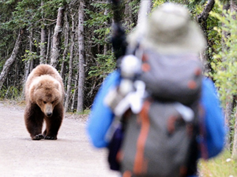 Вот так встреча!
