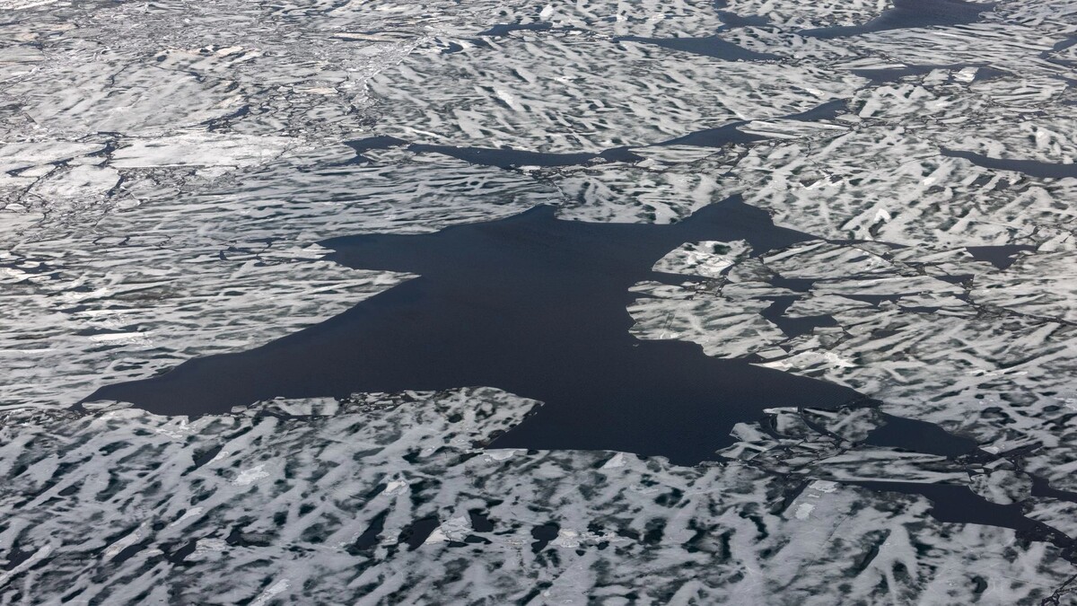    Фото: Сергей Зубков/«Ямал-Медиа»