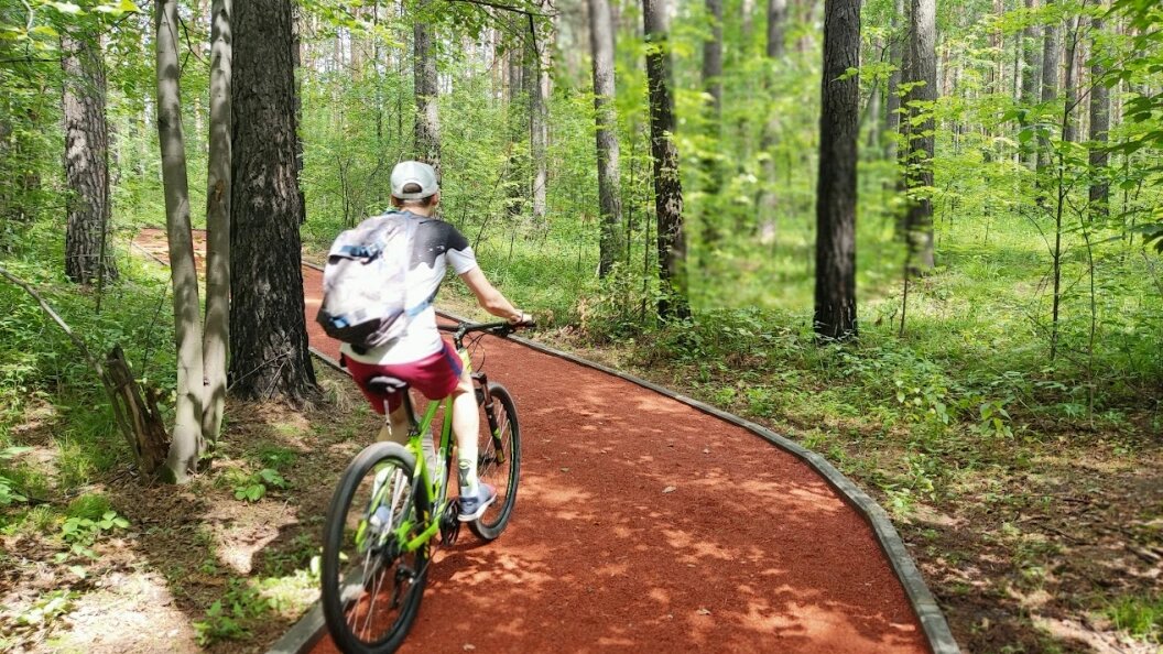    Фото: Царьград Новосибирск