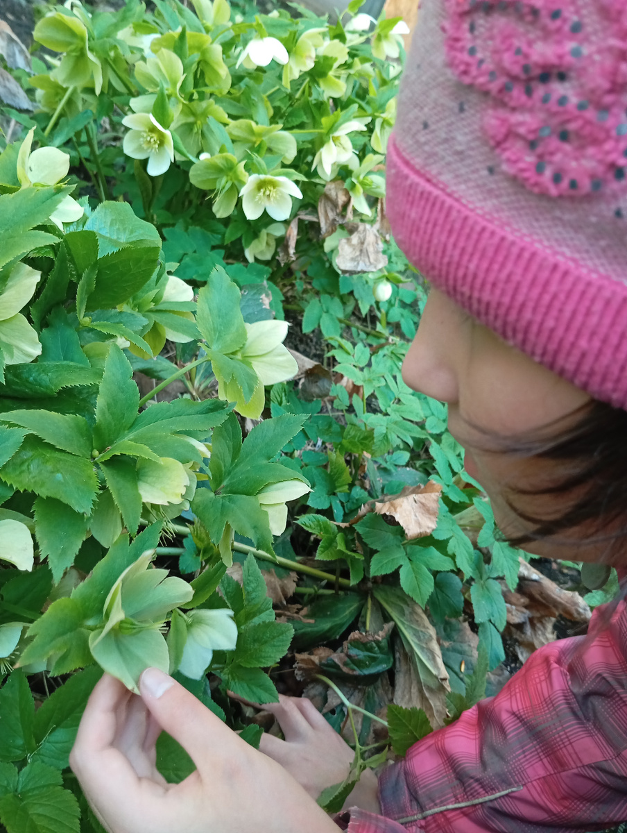 Изучаем цветочки.