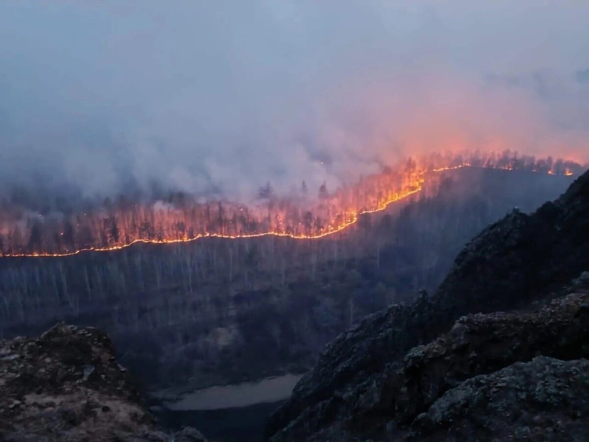    Фото: Очевидец   📷   Фото: Очевидец