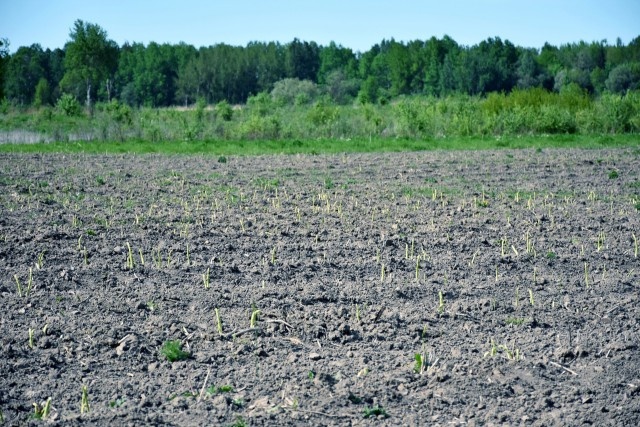   Фото: региональный Минсельхоз