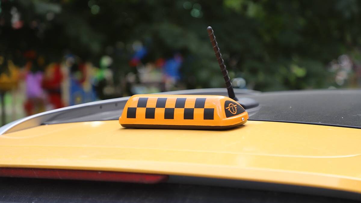    Фото: Андрей Прошин / Вечерняя Москва