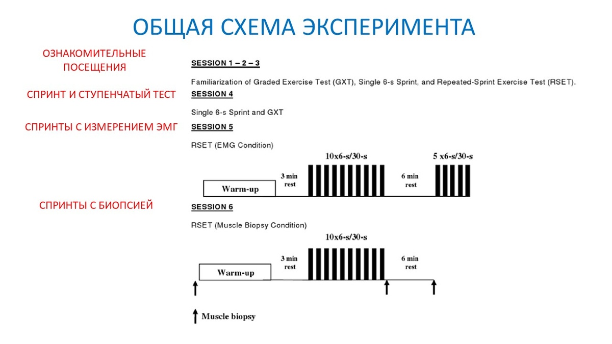 Рисунок 1. Общая схема эксперимента. После первых ознакомительных сессий, следовали три экспериментальные.