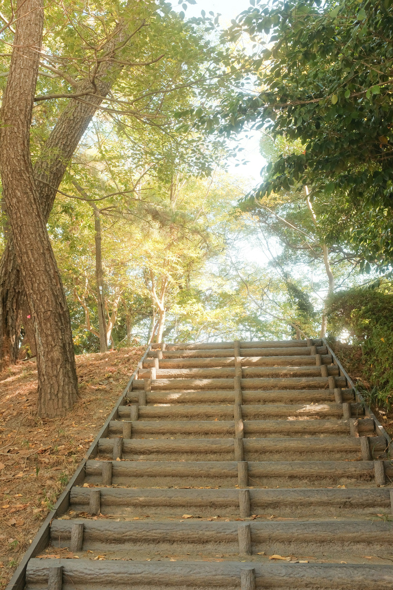 Изменения редко происходят за один день. Они начинаются с одного небольшого шага