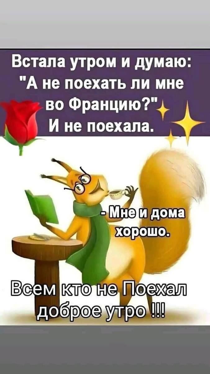 Яндекс- картинки 