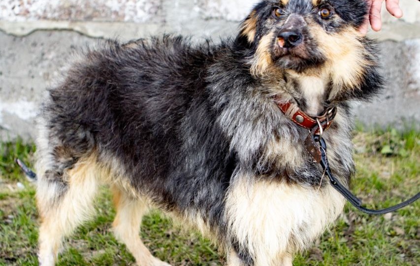 История борьбы сквозь боль и отчаяние...