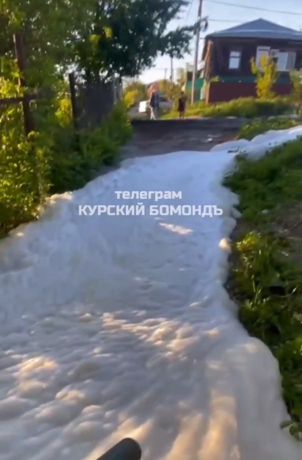 Фото: Курский бомондъ