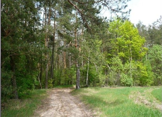 Природа Брянского края