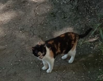 вот с ним и лежала в кустах