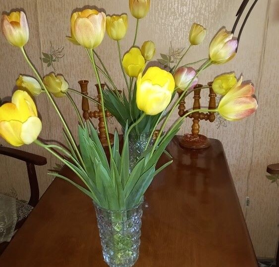 Бон Бон Необыкновенный, "Лучший Друг" из шкапчика и битва за палисадник