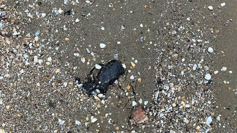 Фото: Оперативный штаб Краснодарского края