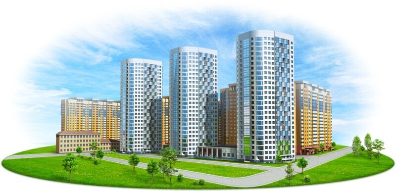 Фото из интернета. 