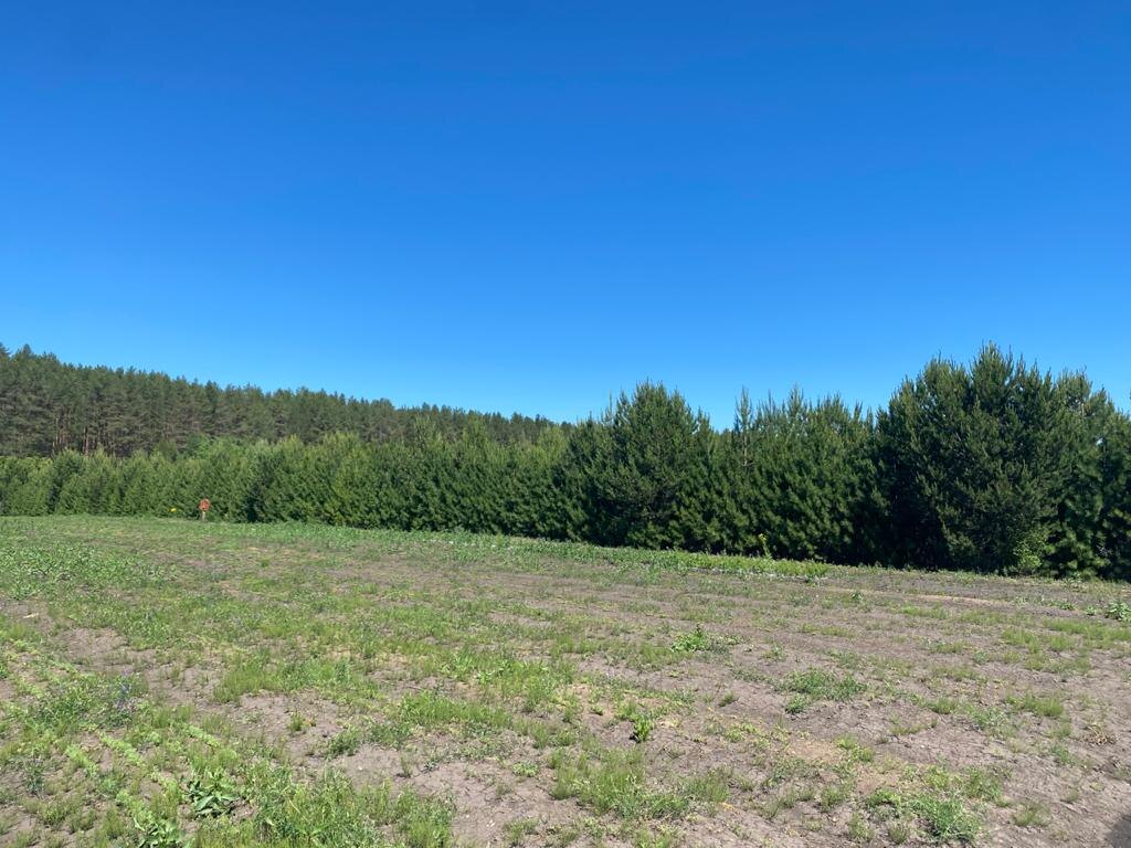    © пресс-служба минприроды Прикамья