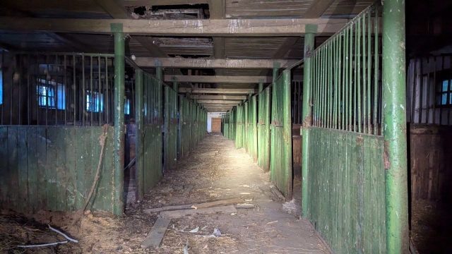     Фото: Поисковый отряд "ЛизаАлерт" Воронежской области