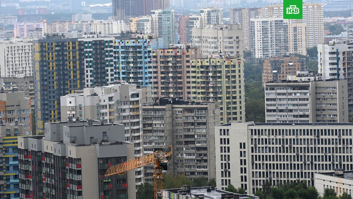    Фото: РИА Новости © 2025, Владимир Вяткин