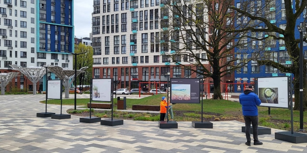 Экомедуза в Экогороде А101