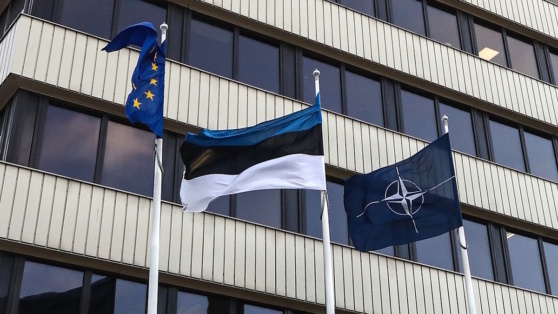    Эстония обвинила Россию в нарушении воздушного пространства страны © Валерий Шарифулин/ТАСС